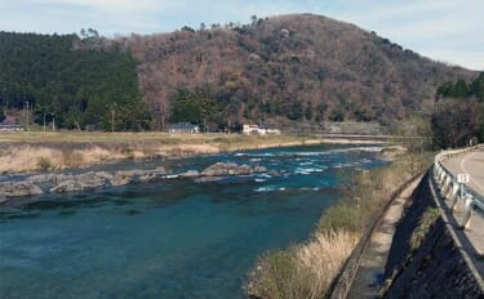 鮎（アユ）友釣りオススメ河川ガイド2024：長良川・郡上【岐阜】ポイントは無数にあり