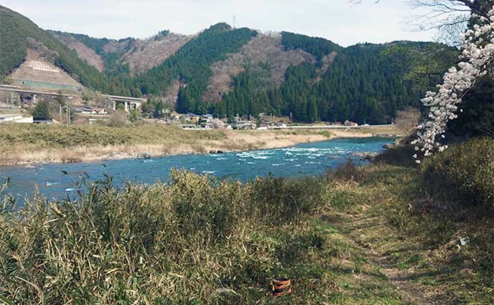 鮎(アユ)友釣りオススメ河川ガイド2024:長良川・郡上【岐阜】ポイントは無数にあり