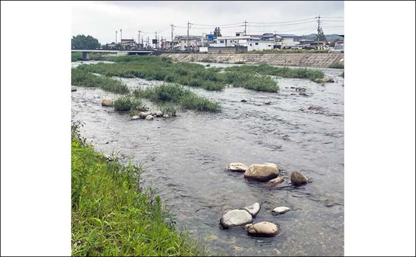 鮎(アユ)友釣りオススメ河川ガイド2024:黒川【栃木】アクセス良好の穴場