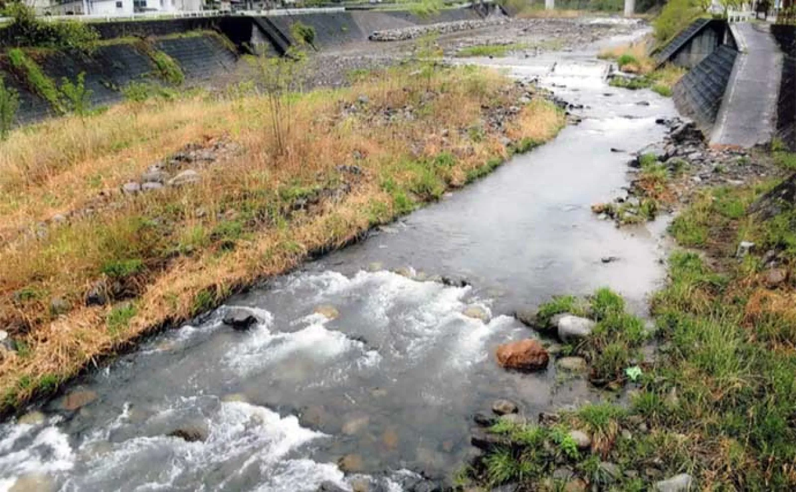 鮎（アユ）友釣りオススメ河川ガイド2024：桂川水系【山梨】大型の数釣りができる年も