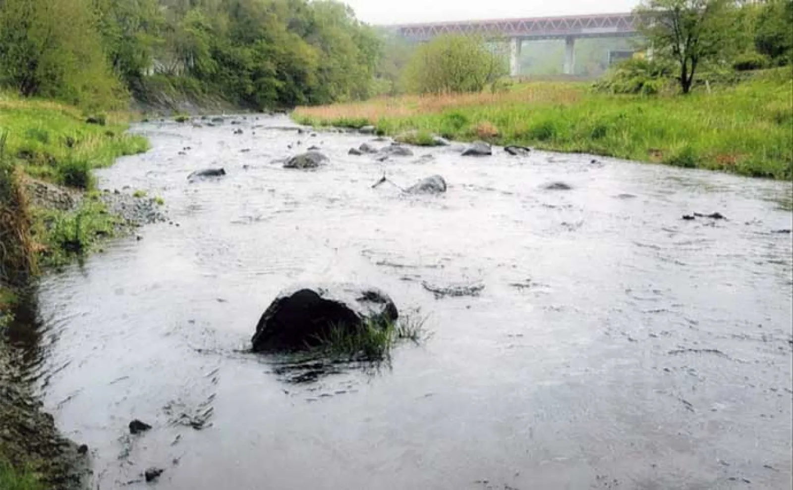 鮎（アユ）友釣りオススメ河川ガイド2024：桂川水系【山梨】大型の数釣りができる年も