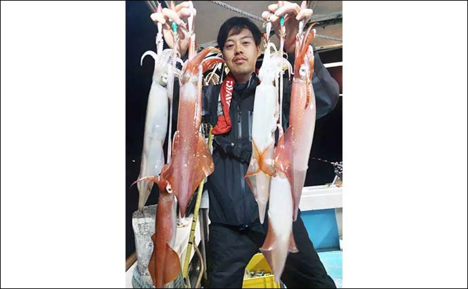 【夜焚きイカ釣果速報】良型混じりに1人平均40尾前後と今後に好期待（福岡）