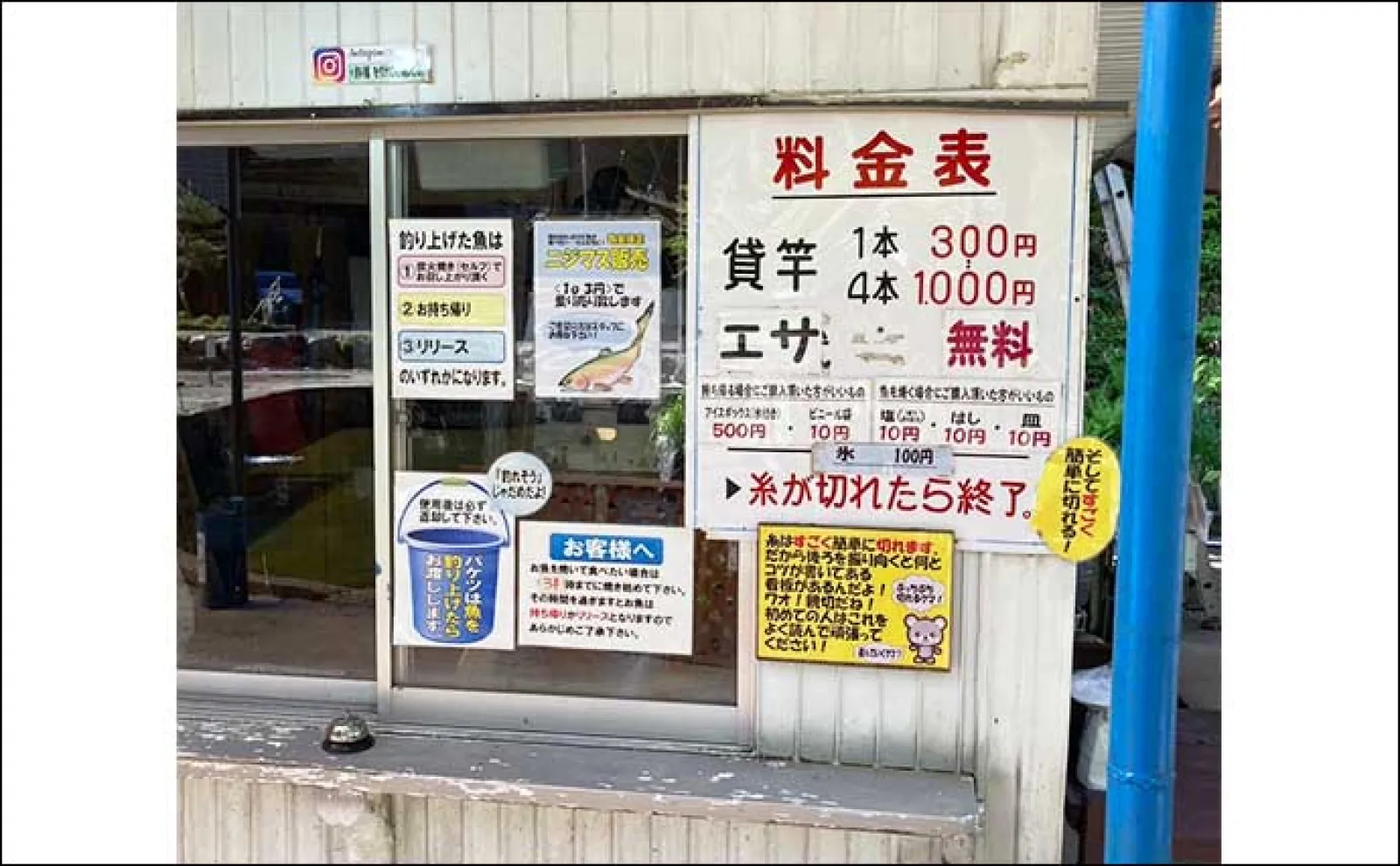 「糸が切れるまで釣り放題」システムの釣り掘でニジマス19匹キャッチ【岐阜・大滝鍾乳洞】