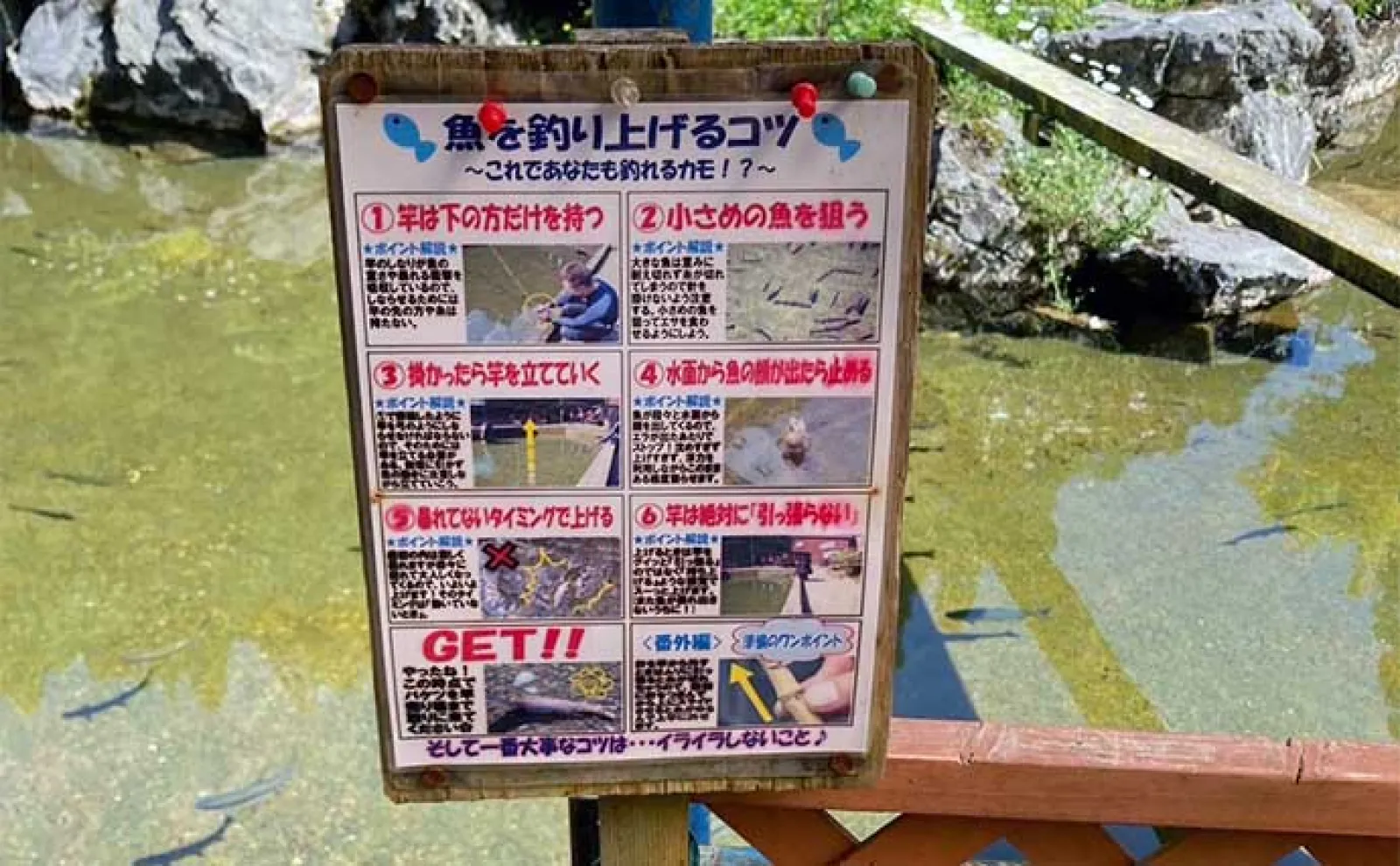 「糸が切れるまで釣り放題」システムの釣り掘でニジマス19匹キャッチ【岐阜・大滝鍾乳洞】