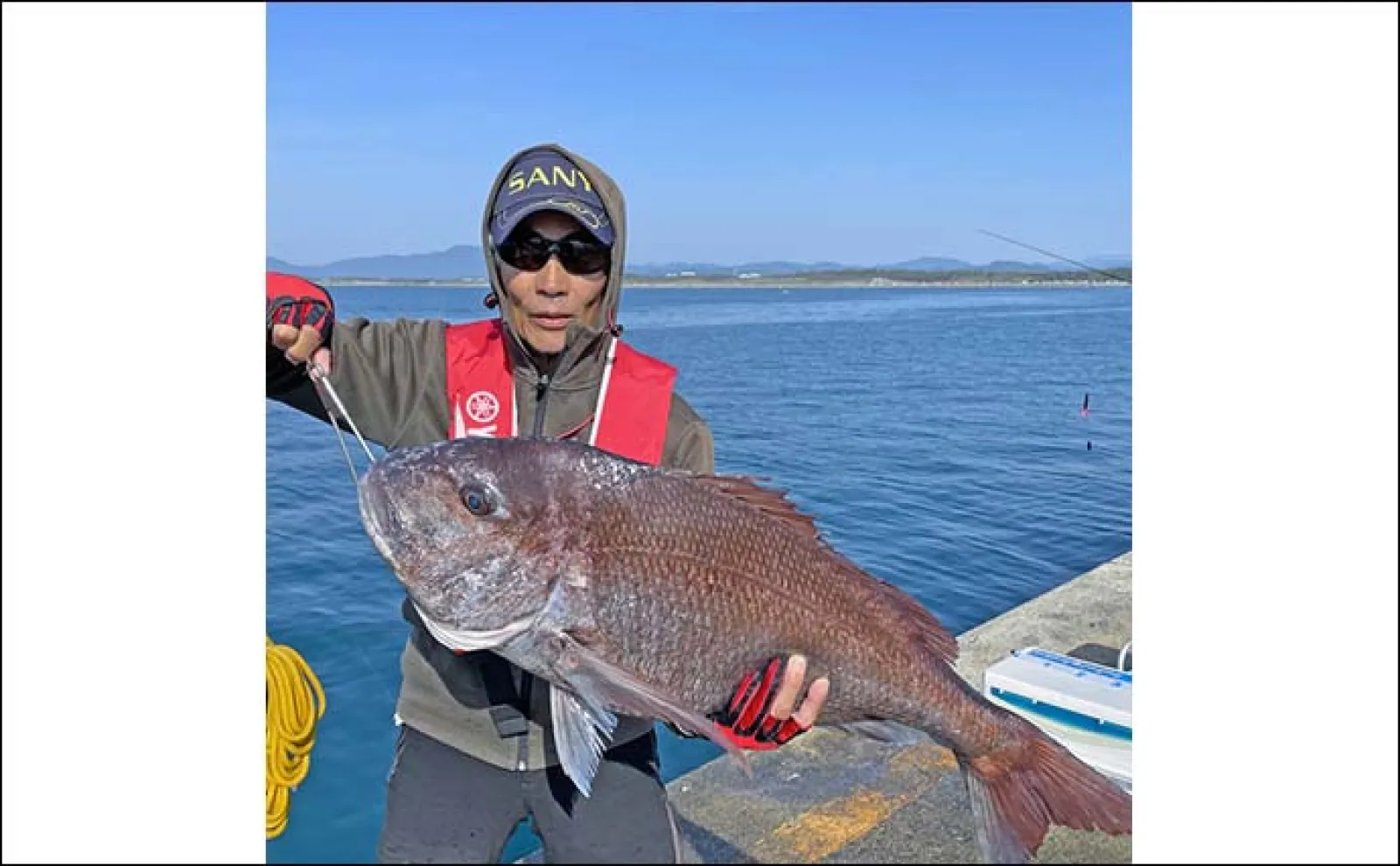 堤防から遠投カゴ釣りで86cm大型マダイ浮上【新潟・直江津】近距離で