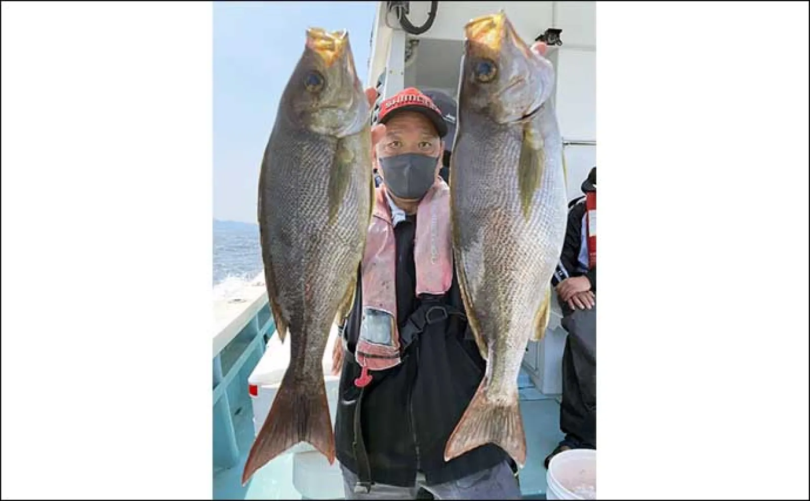 【船釣り釣果速報】五目便で50cm級特大イサキが堂々顔出し(大分・熊本)