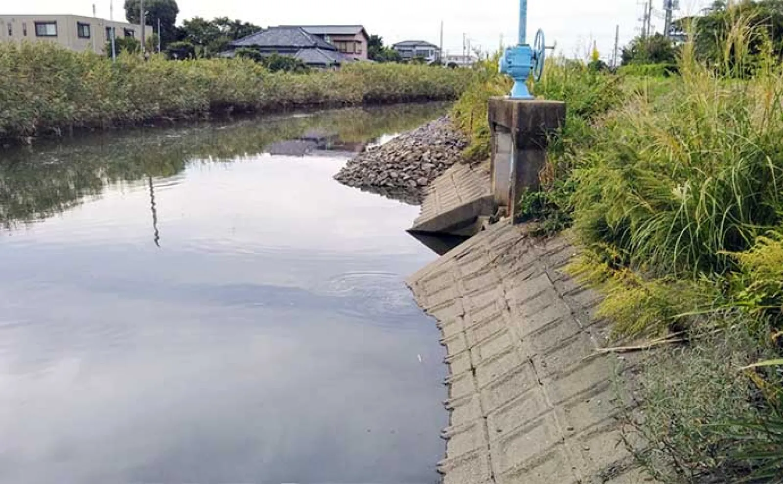 ハクだらけの小河川でルアーシーバス釣行【千葉】40cm級筆頭にセイゴクラスが入れ食い