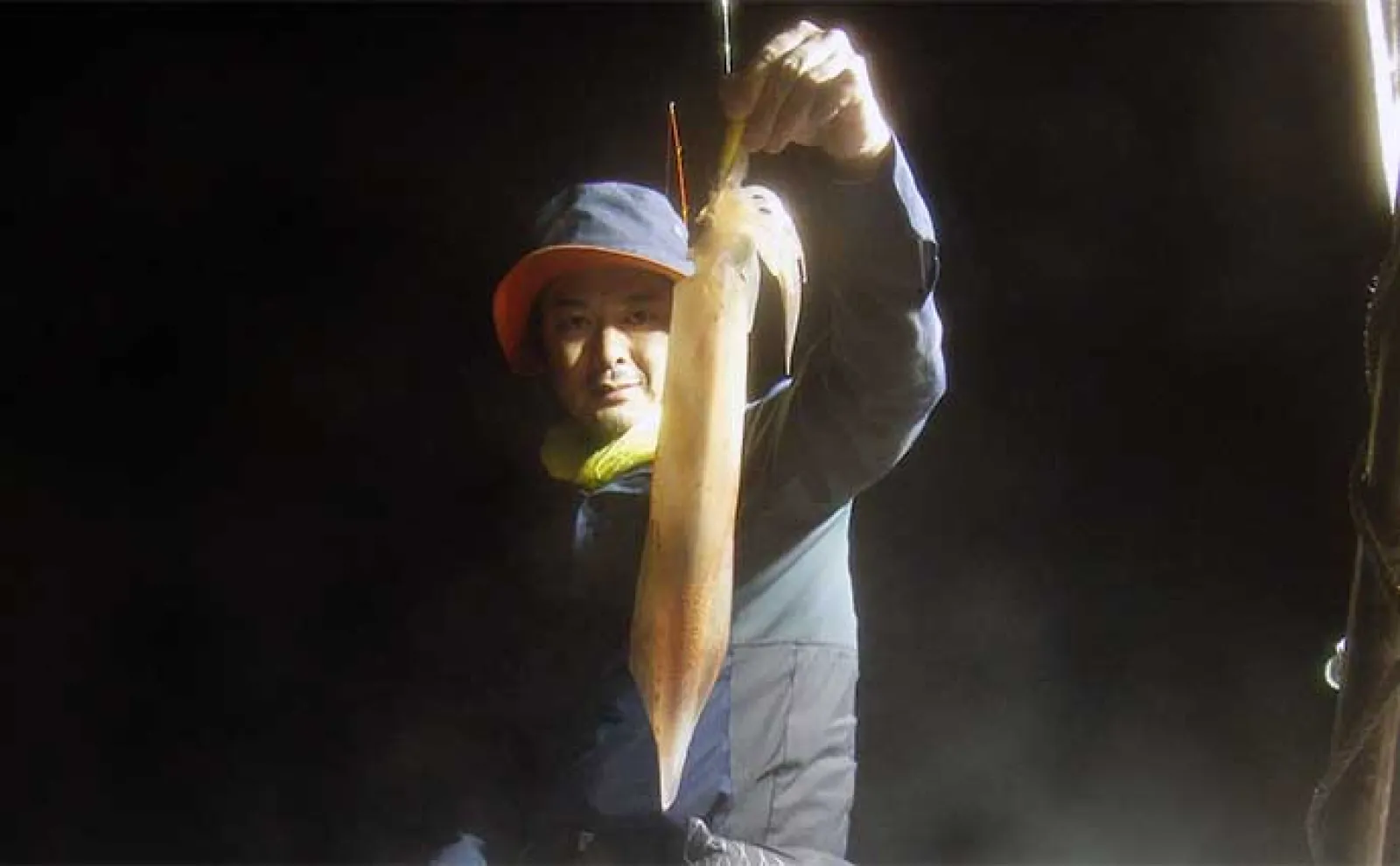【夜焚きイカ釣果速報】釣る人ヤリイカ70尾前後と好調継続中(福岡)