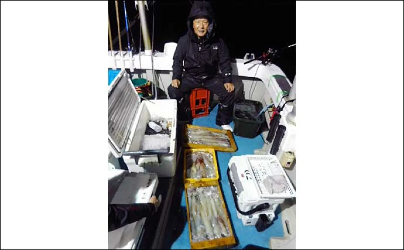 【夜焚きイカ釣果速報】釣る人ヤリイカ70尾前後と好調継続中(福岡)