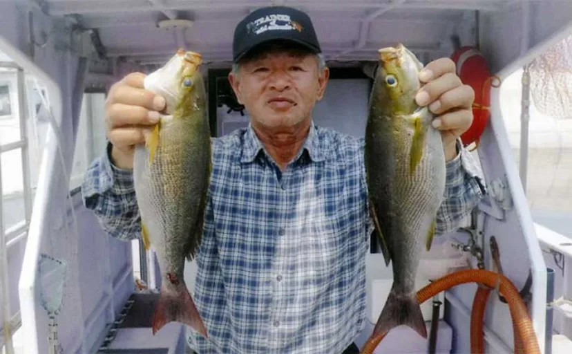 船のコマセ釣りでイサキ32尾【愛知・敏栄丸】ウィリー仕掛けで手返しアップ