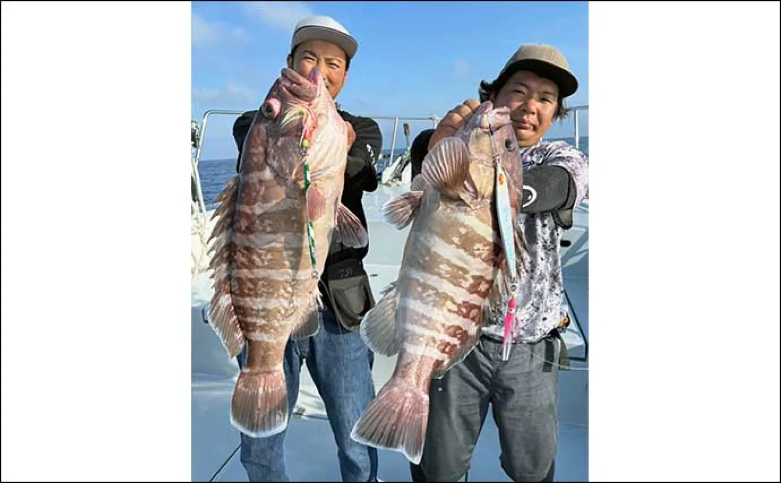 【船釣り最新釣果】早福沖のイカ泳がせ釣りでアラ浮上(長崎・佐賀)