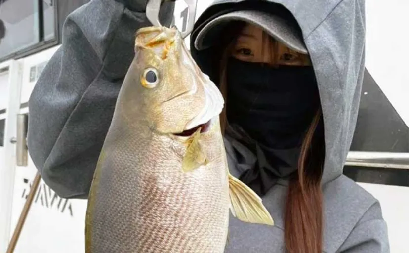 【船釣り釣果速報】腹パンのジャンボイサキが続々顔出し（大分・熊本）
