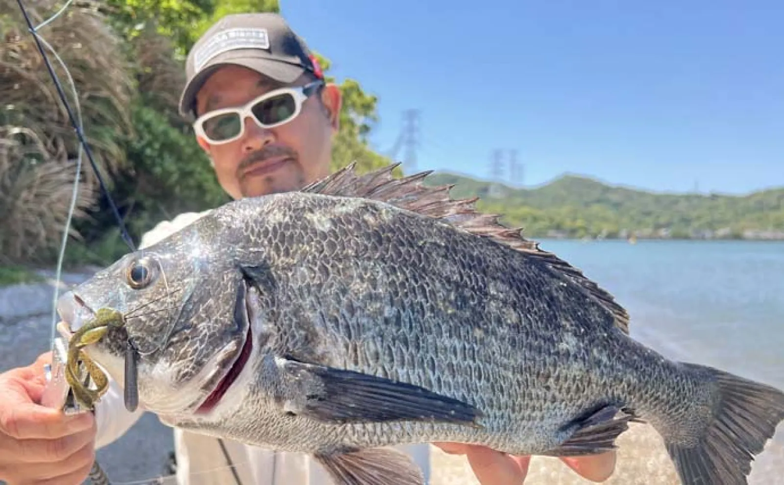 フリーリグでのチニング釣行でチヌ3尾キャッチ【熊本・三角半島】シャローでヒット