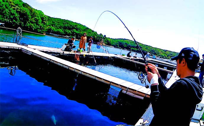 子連れ海上釣り堀釣行でマダイとジャンボシマアジ好捕【三重