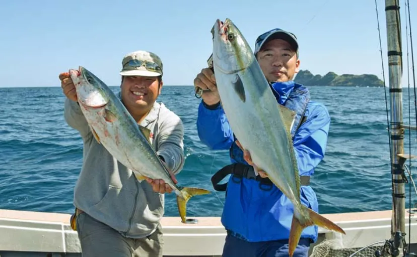 青物キャスティング釣行で85cmブリ好捕【福井・あみや渡船】目の前で迫力満点バイト