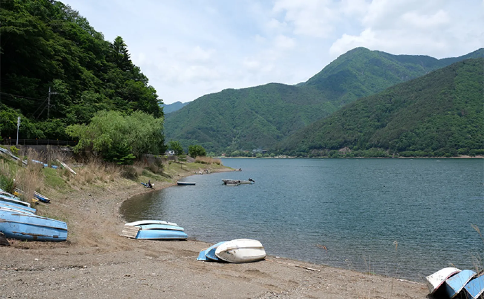 今週のヘラブナ推薦釣り場2024【山梨・西湖】