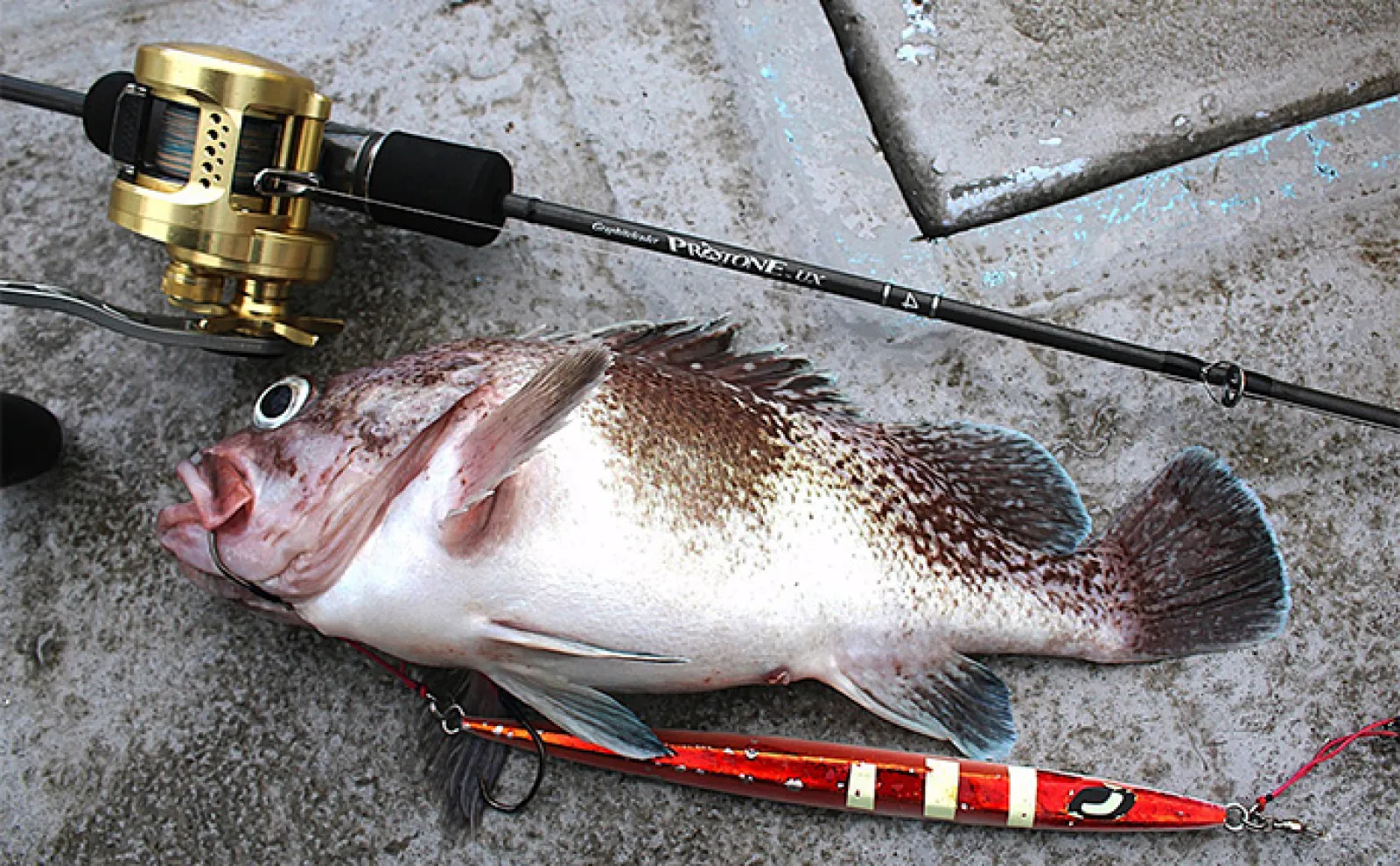 能登半島沖スロージギング釣行で高級美味魚「アラ」狙い 攻略の近道はロッドにあり