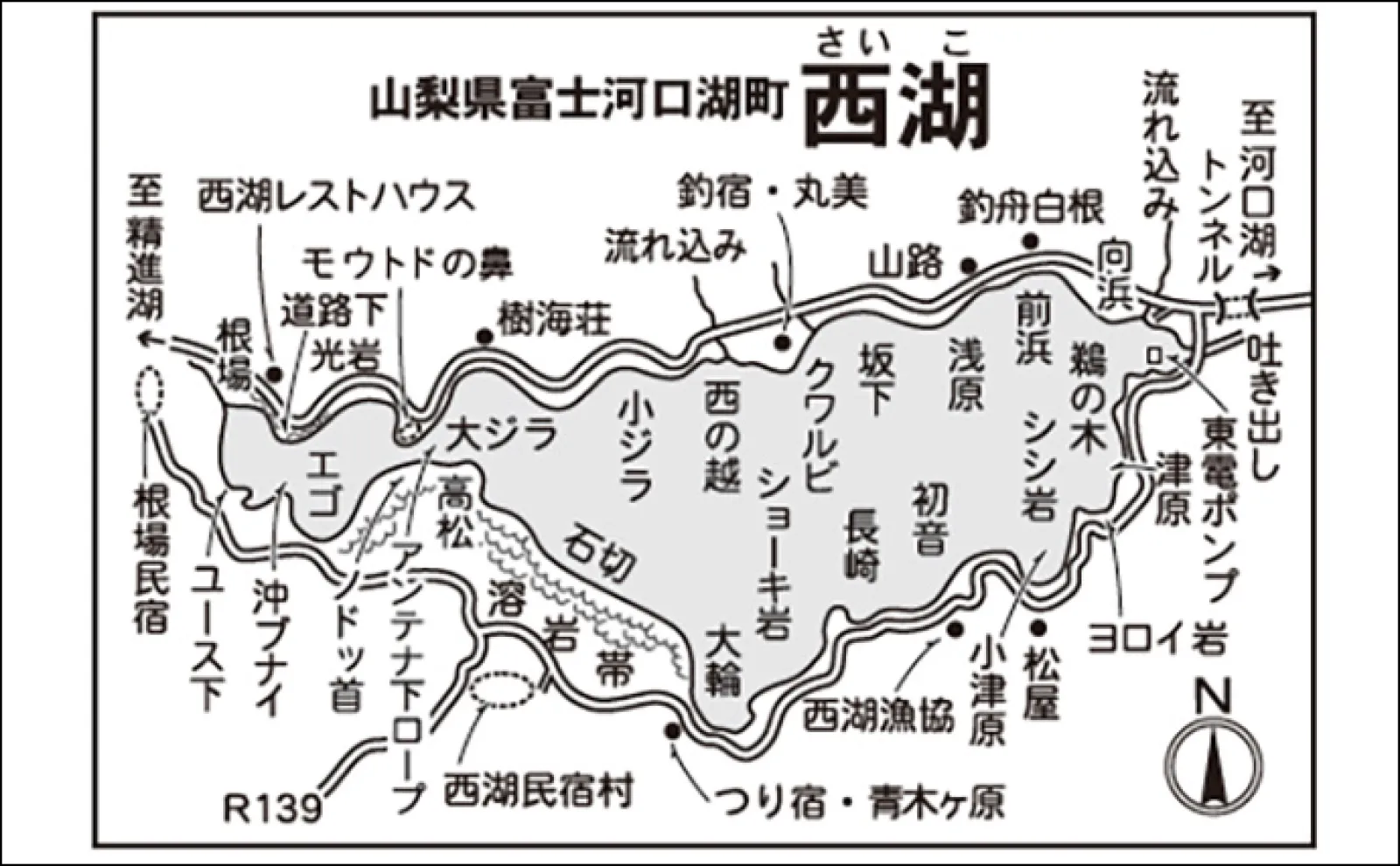 今週のヘラブナ推薦釣り場2024【山梨・西湖】