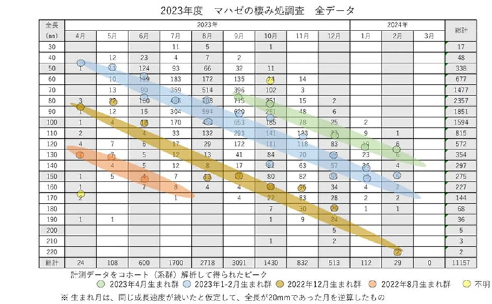 ハゼを釣ることで研究に貢献できる『江戸前ハゼ復活プロジェクト』とは?