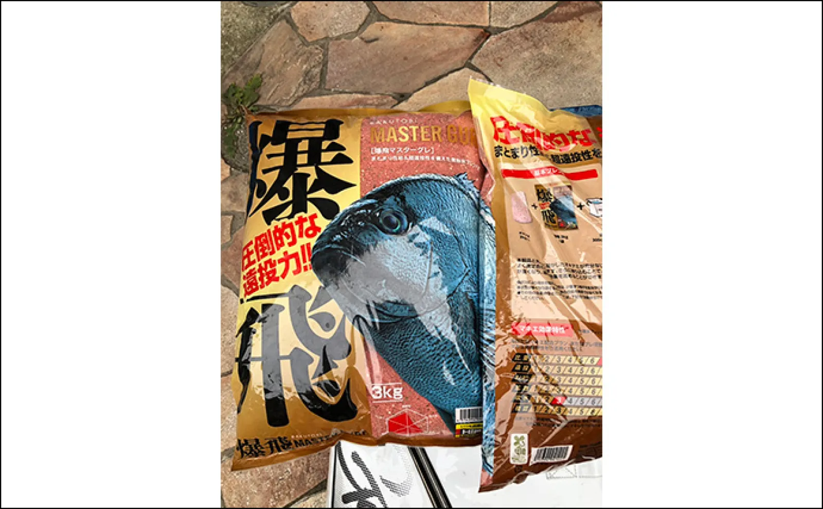 ちょっと早めの梅雨グレフカセ釣りで32cm筆頭にグレ連発【和歌山・紀中】