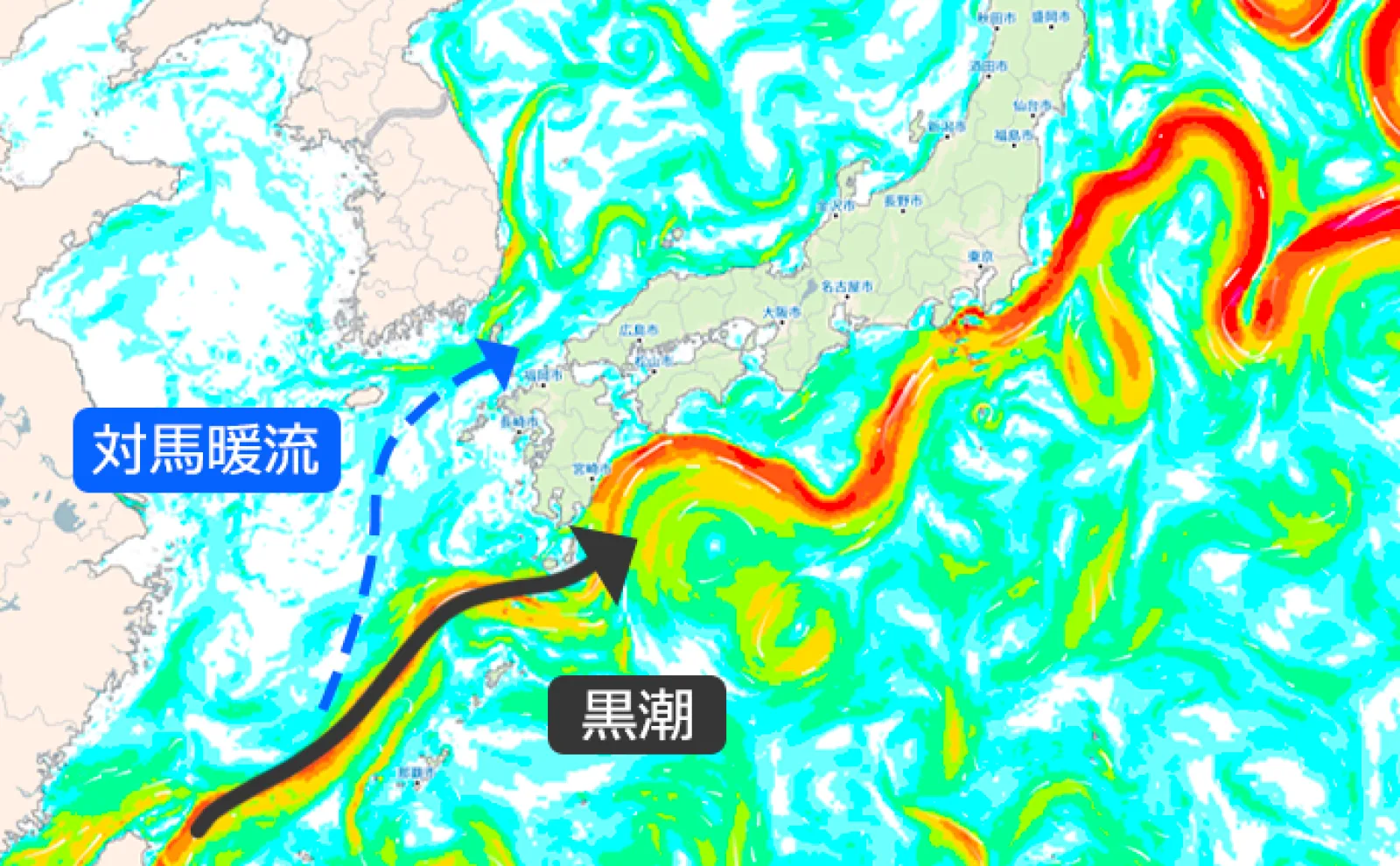 五島列島」はなぜ釣りの聖地なのか？ 気象のプロ『海ナビ』中の人が解説 | アウトドア | カーライフ・カー用品サイトMOBILA（モビラ）