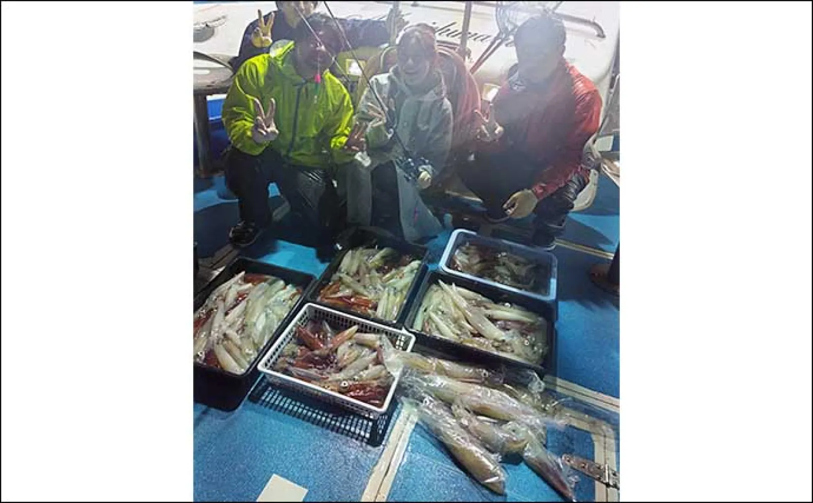【夜焚きイカ最新釣果】イカメタルでも100尾弱と釣果上向き!(福岡)