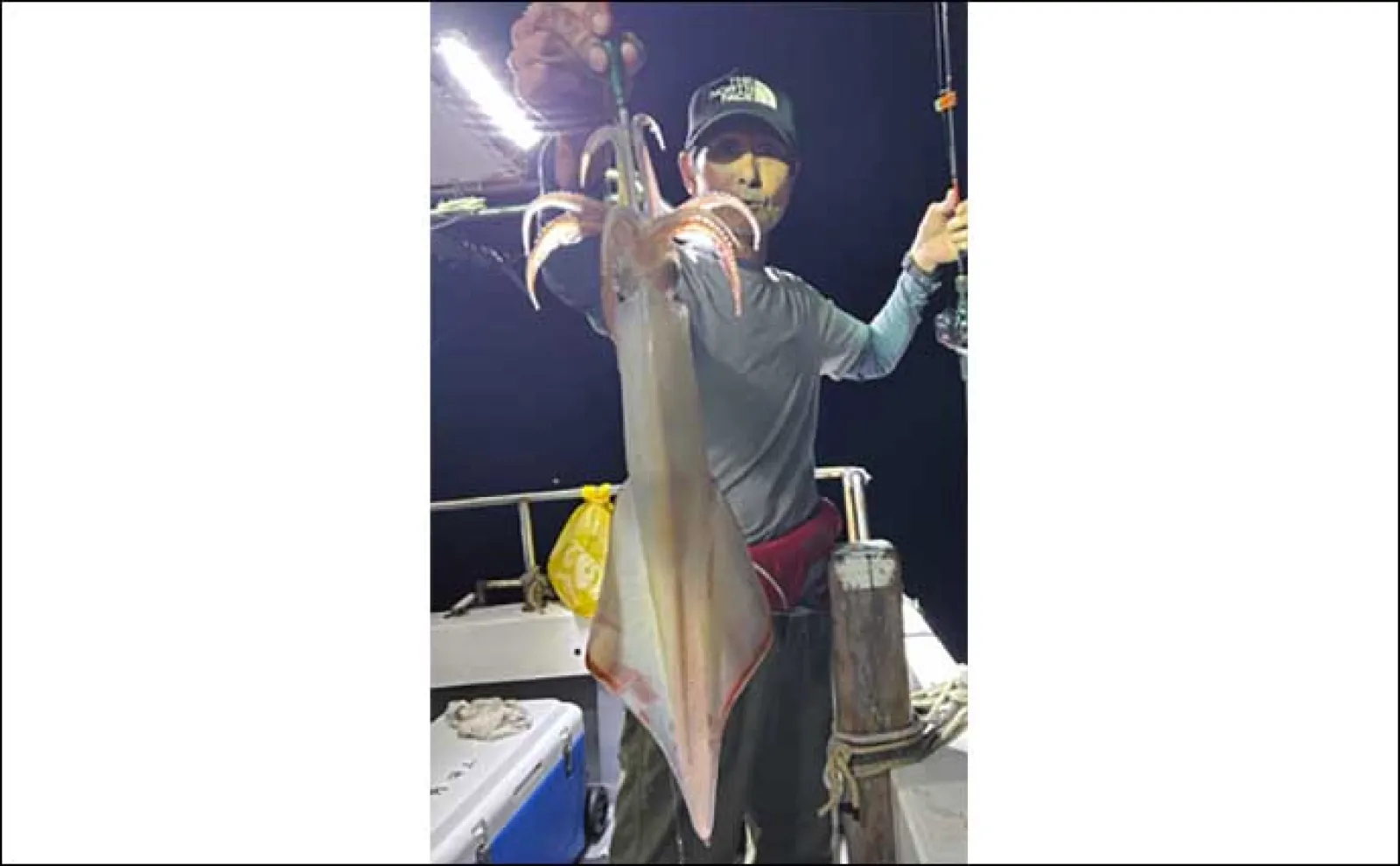 【夜焚きイカ最新釣果】イカメタルでも100尾弱と釣果上向き!(福岡)