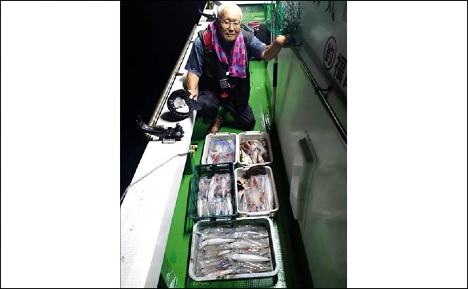 【夜焚きイカ最新釣果】イカメタルでも100尾弱と釣果上向き!(福岡)