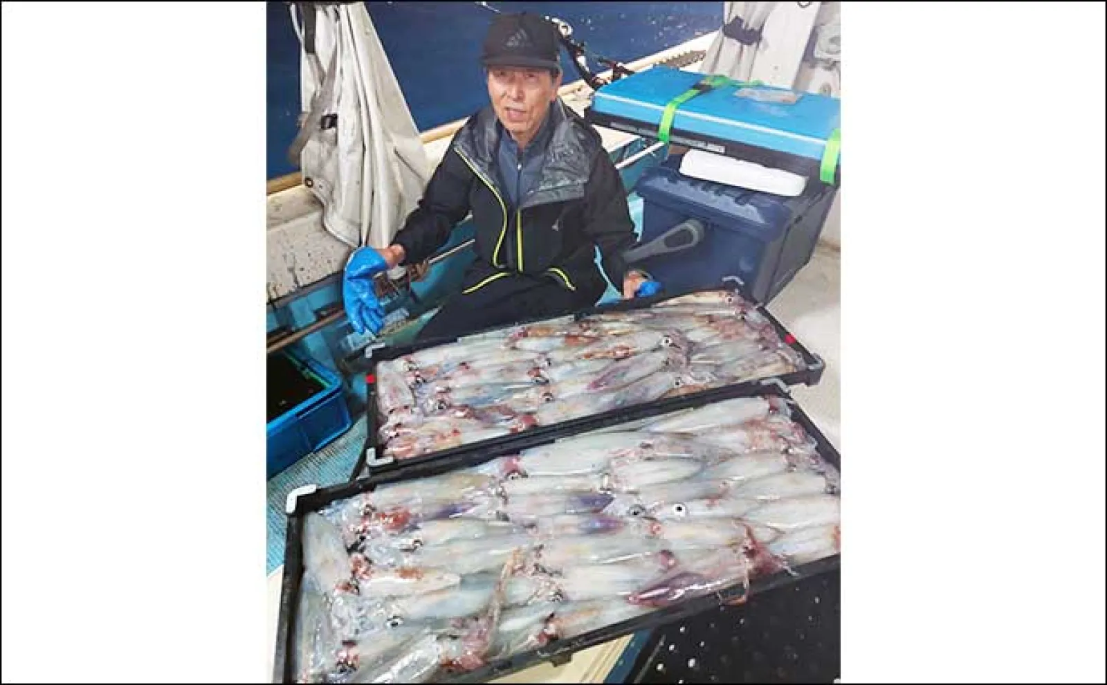 【夜焚きイカ最新釣果】イカメタルでも100尾弱と釣果上向き!(福岡)