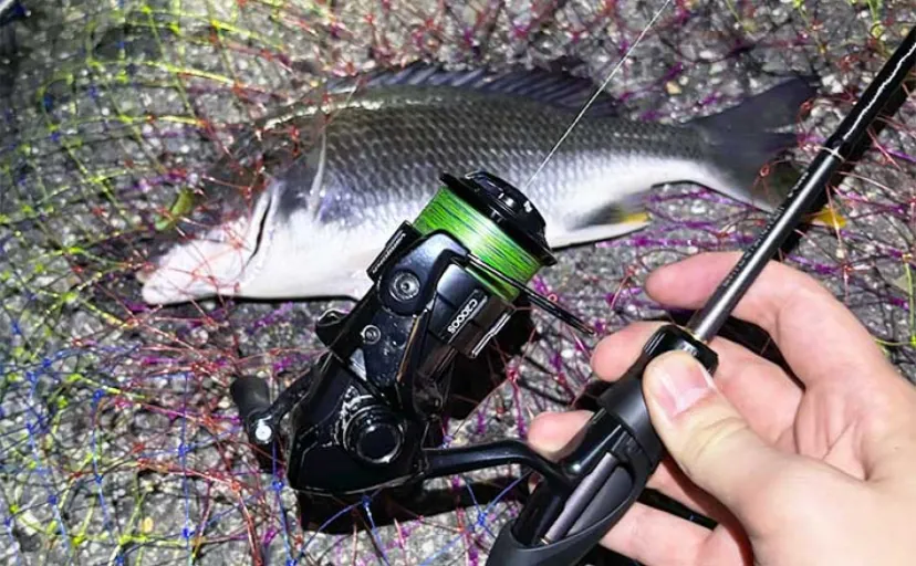 琵琶湖レイクトローリング釣行で50cm超えビワマスと対面 リリース多数