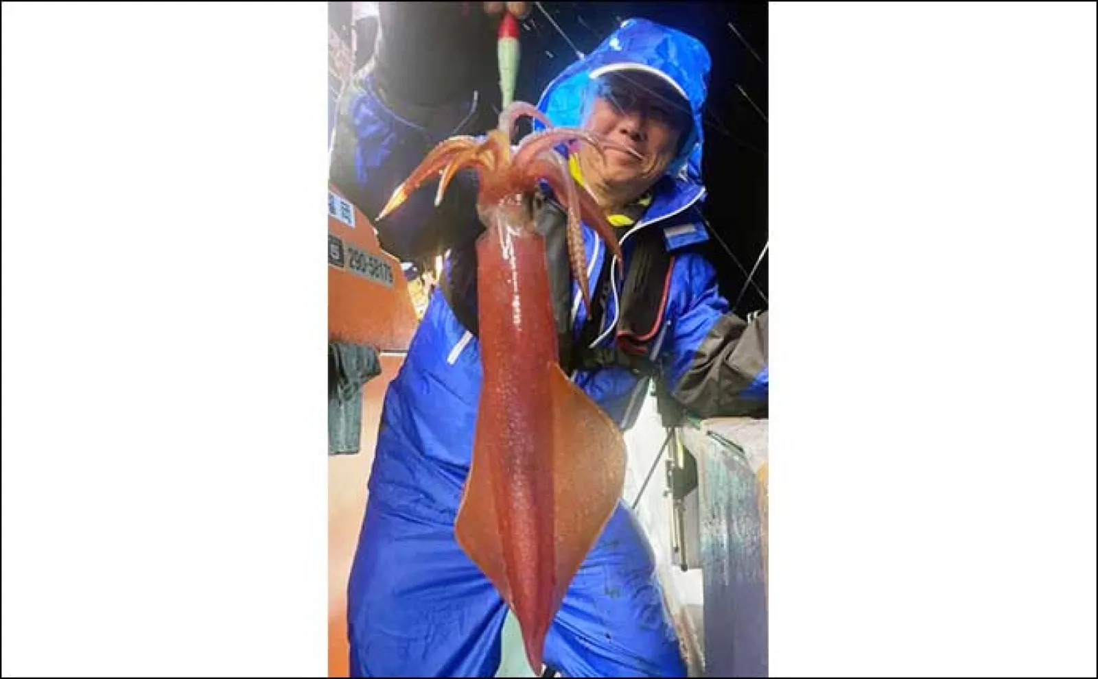 【夜焚きイカ釣果速報】釣る人でヤリイカ120尾前後!日により数にムラあり(福岡)