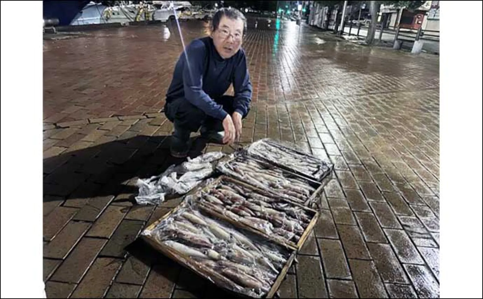 【夜焚きイカ釣果速報】釣る人でヤリイカ120尾前後!日により数にムラあり(福岡)