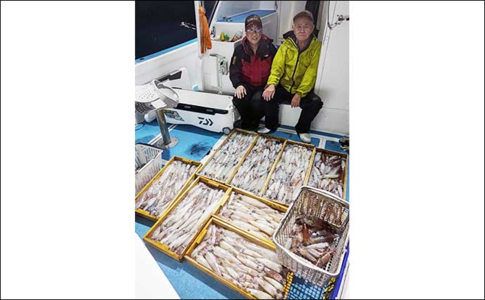 【夜焚きイカ釣果速報】釣る人でヤリイカ120尾前後!日により数にムラあり(福岡)