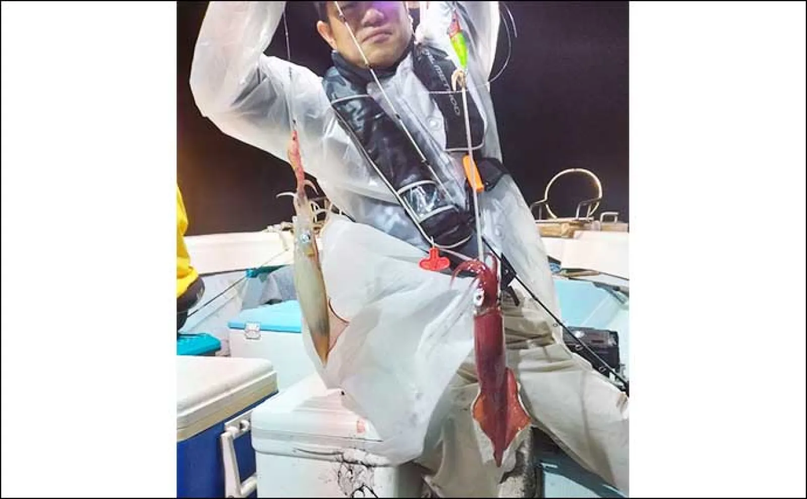 【夜焚きイカ釣果速報】釣る人でヤリイカ120尾前後!日により数にムラあり(福岡)