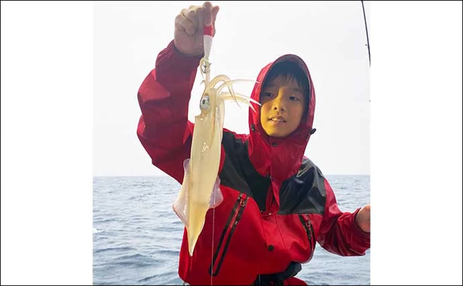 【夜焚きイカ釣果速報】釣る人でヤリイカ120尾前後!日により数にムラあり(福岡)