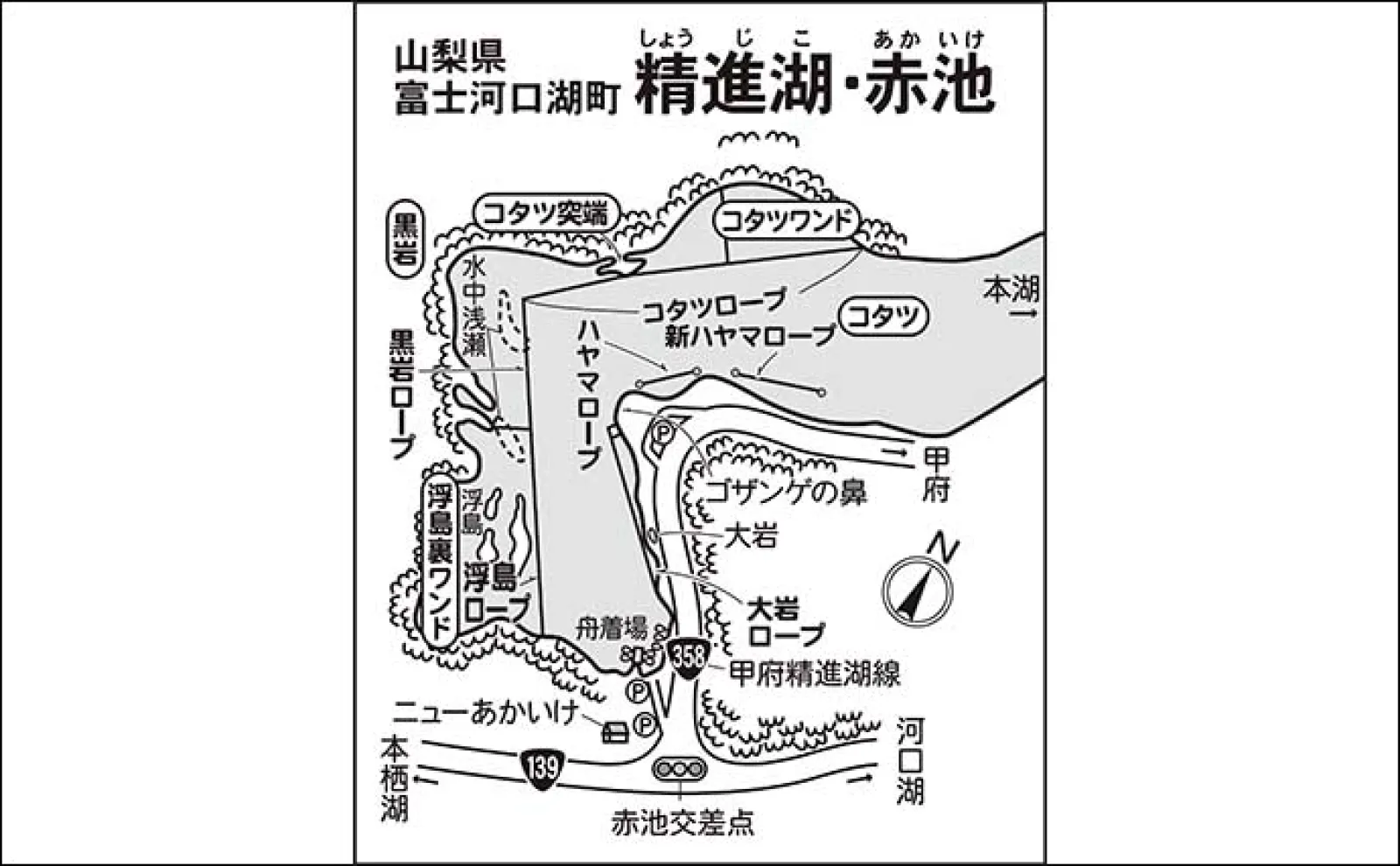 今週のヘラブナ推薦釣り場2024【山梨県・精進湖】