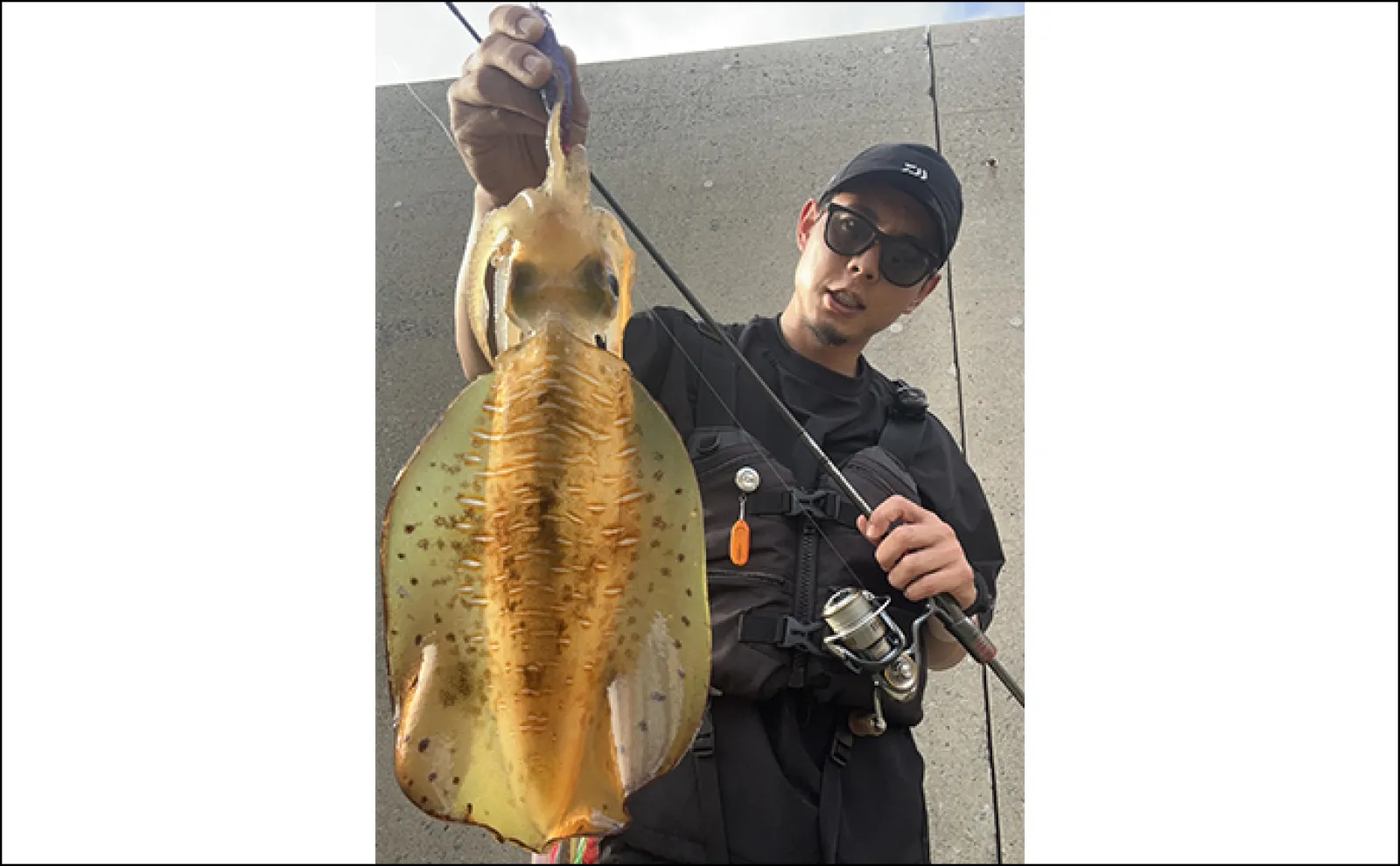 夏の堤防エギング釣行で1.8kg頭に良型アオリイカがまさかの連発【山口・萩】