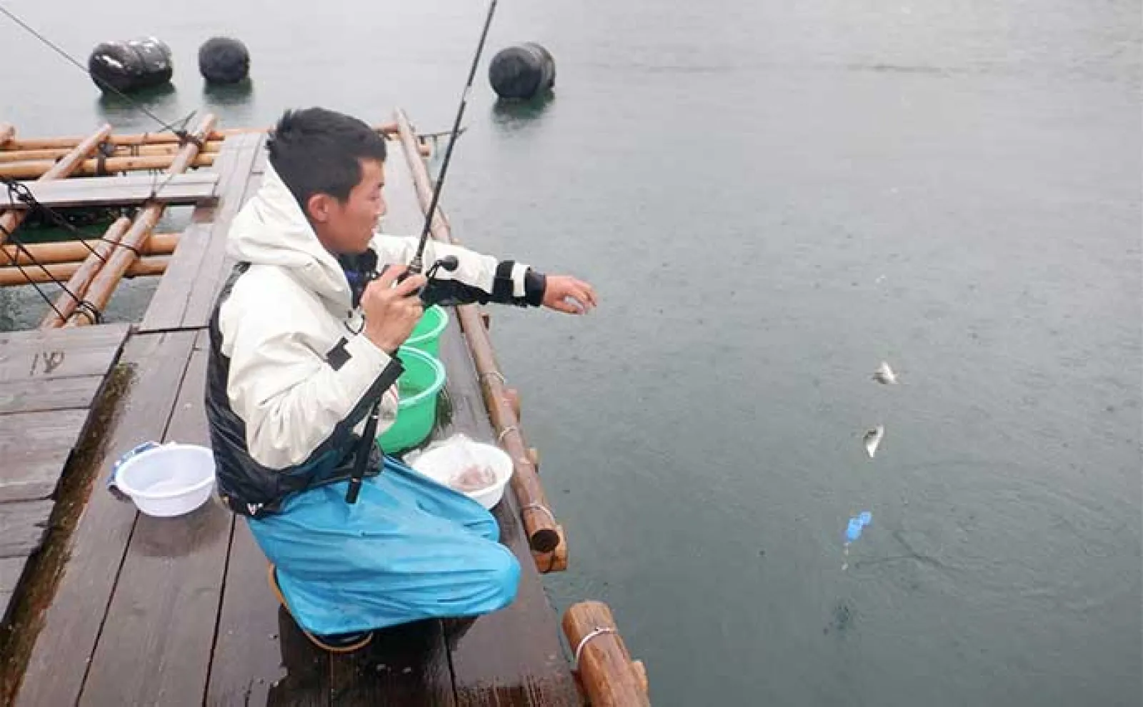 イカダでファミリーフィッシングを楽しもう!【魅力・釣れる魚・道具・釣り方を解説】