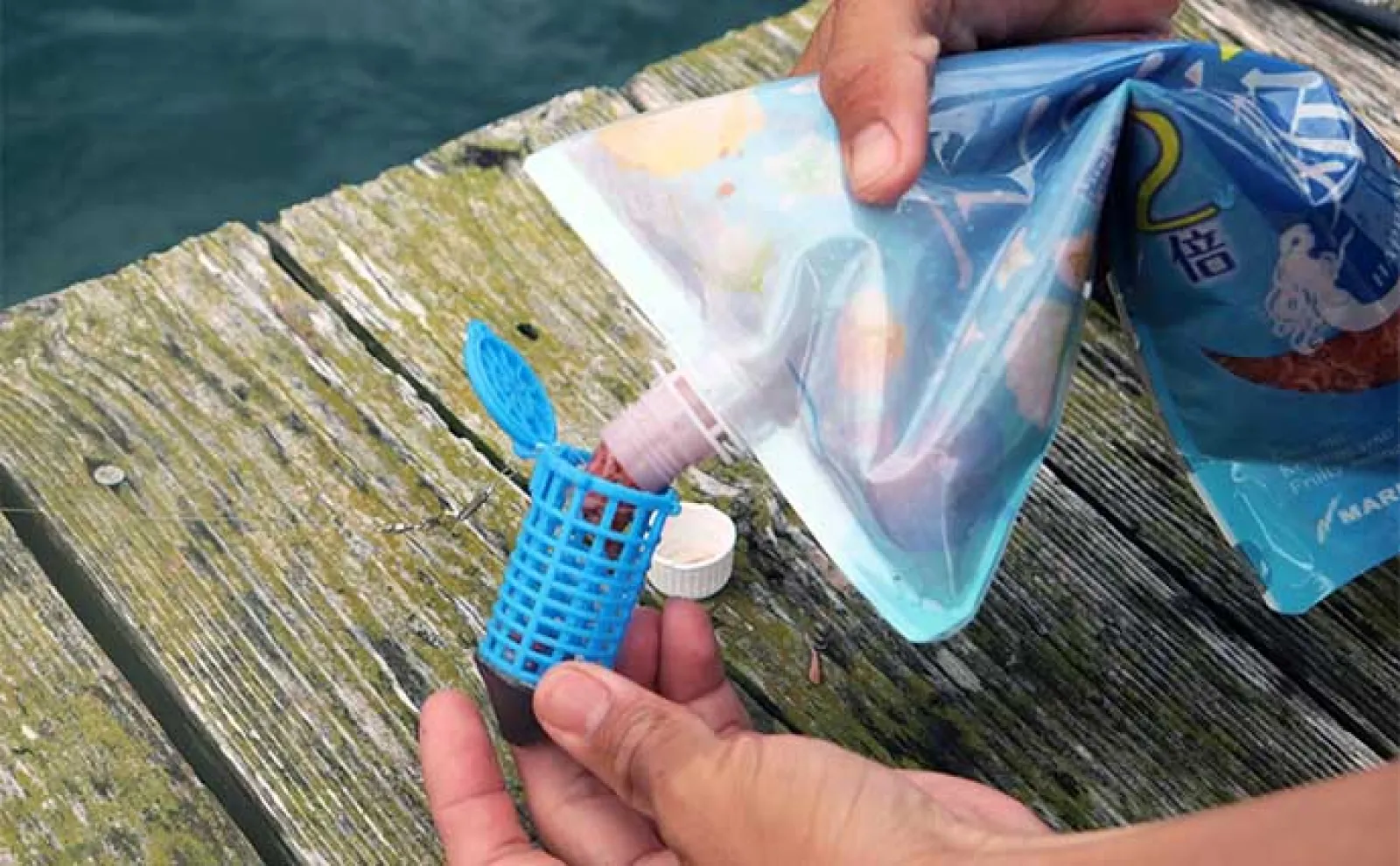 イカダでファミリーフィッシングを楽しもう!【魅力・釣れる魚・道具・釣り方を解説】