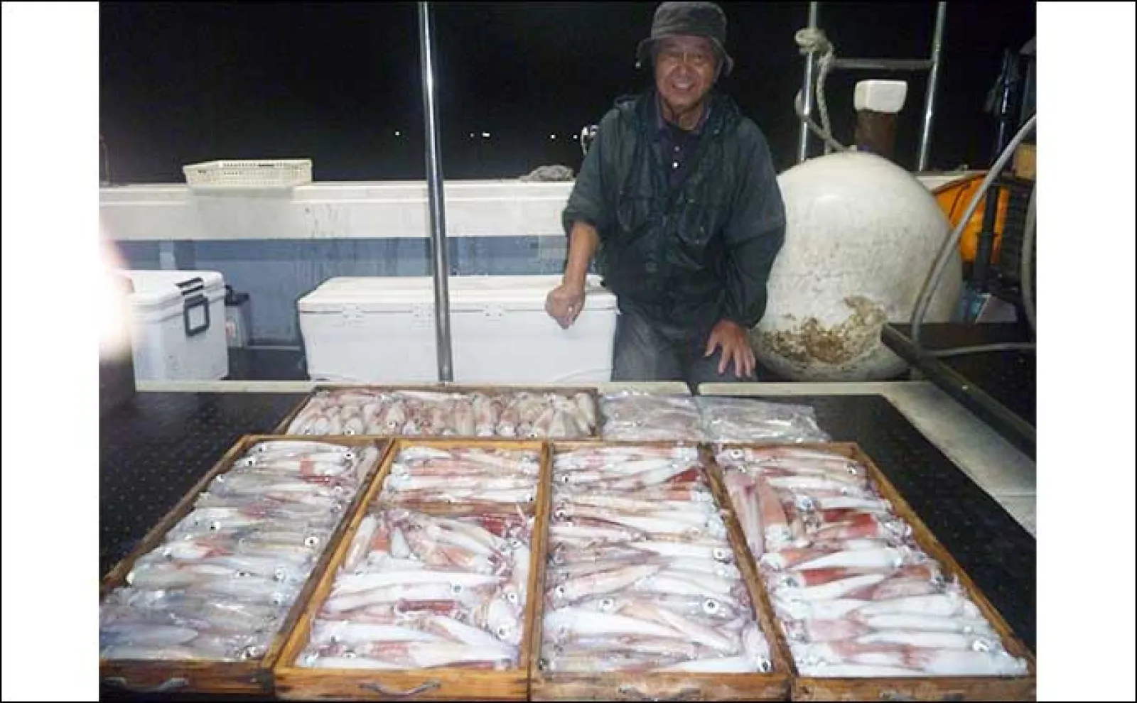 【夜焚きイカ釣果速報】今シーズン一番の入れ食い到来で100尾超え続々!(福岡)