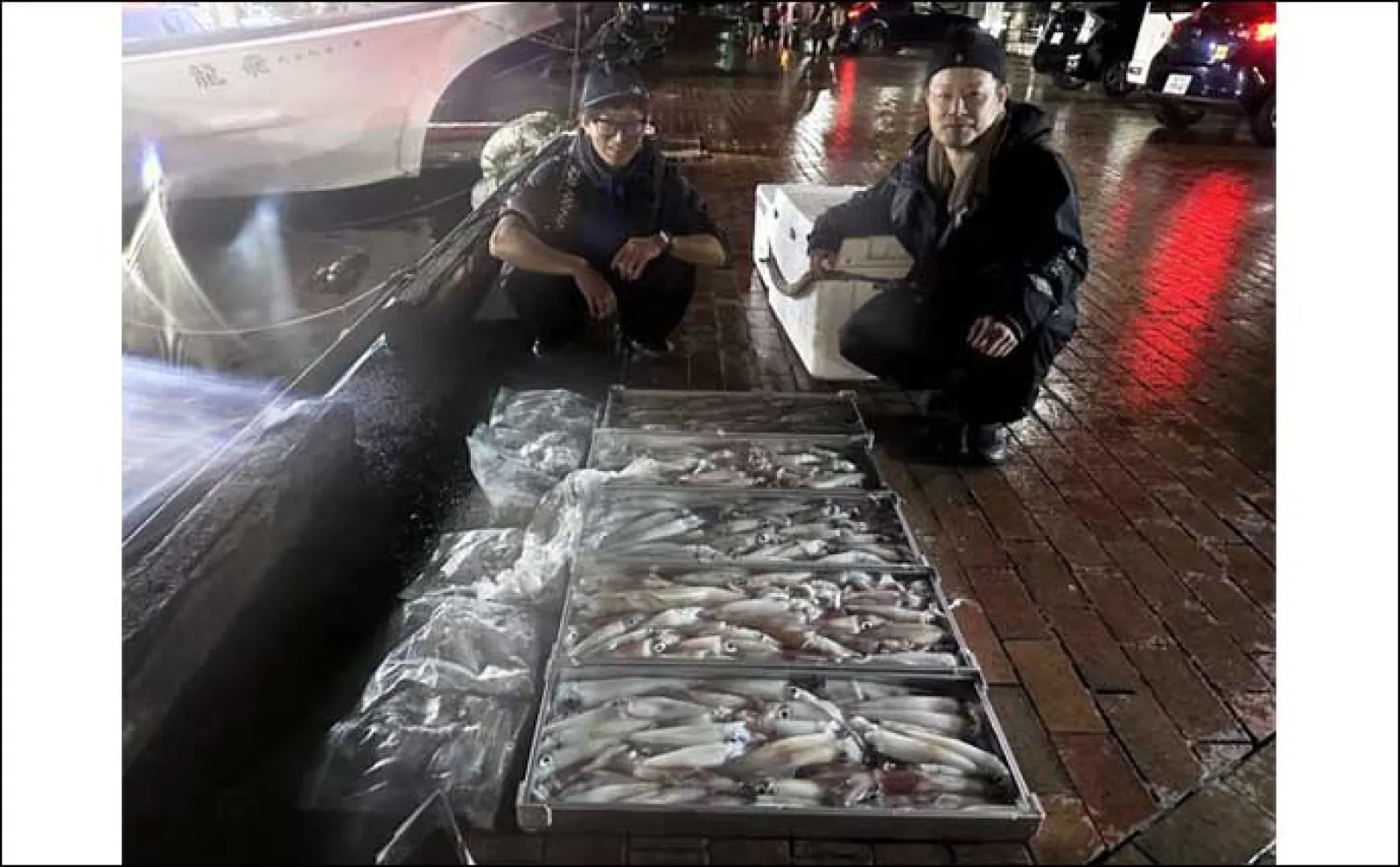 【夜焚きイカ釣果速報】今シーズン一番の入れ食い到来で100尾超え続々!(福岡)