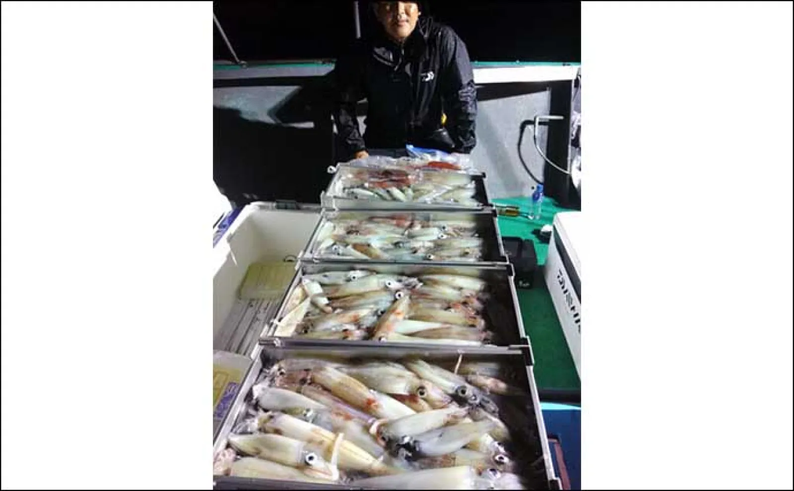 【夜焚きイカ釣果速報】今シーズン一番の入れ食い到来で100尾超え続々!(福岡)