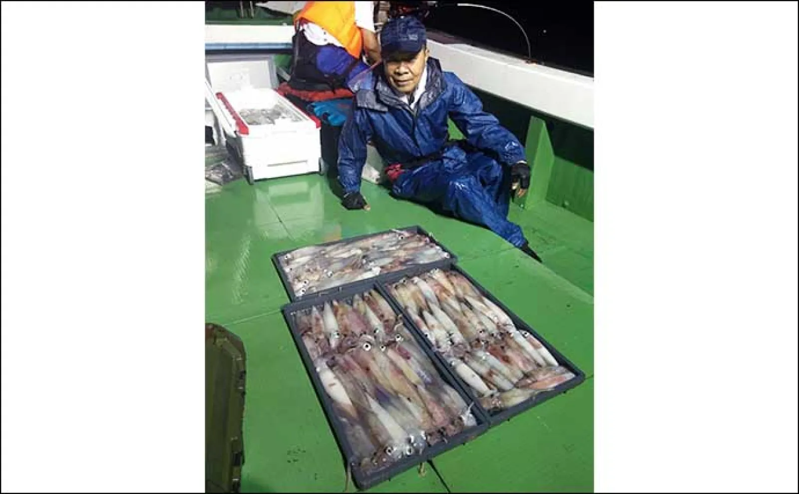 【夜焚きイカ釣果速報】今シーズン一番の入れ食い到来で100尾超え続々!(福岡)