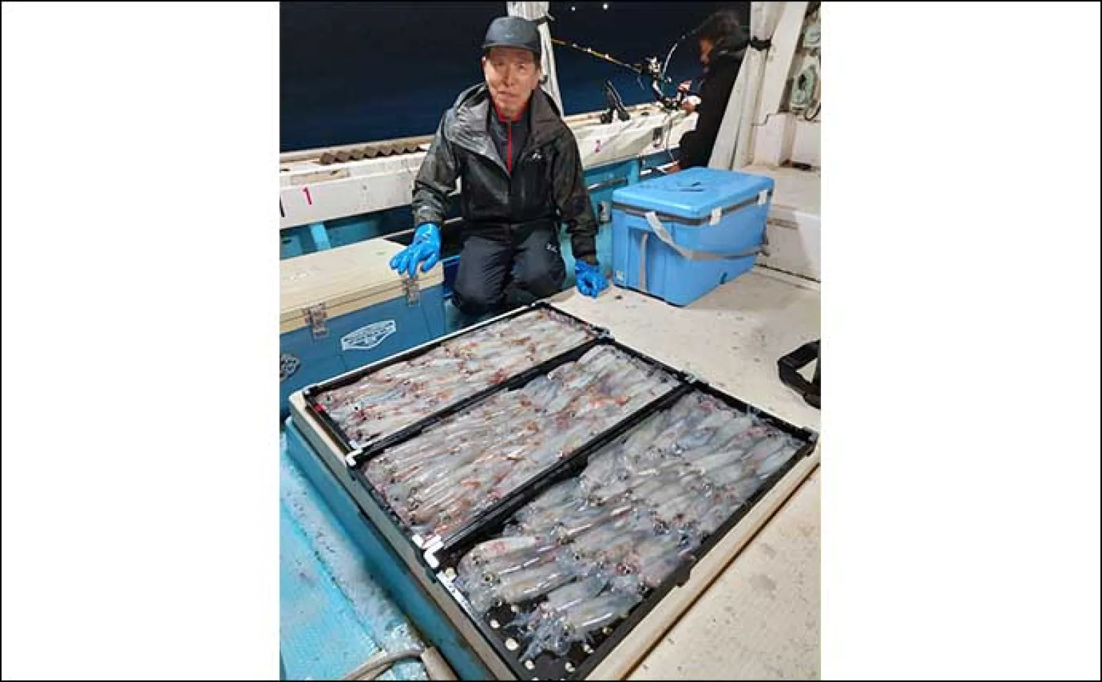 【夜焚きイカ釣果速報】今シーズン一番の入れ食い到来で100尾超え続々!(福岡)