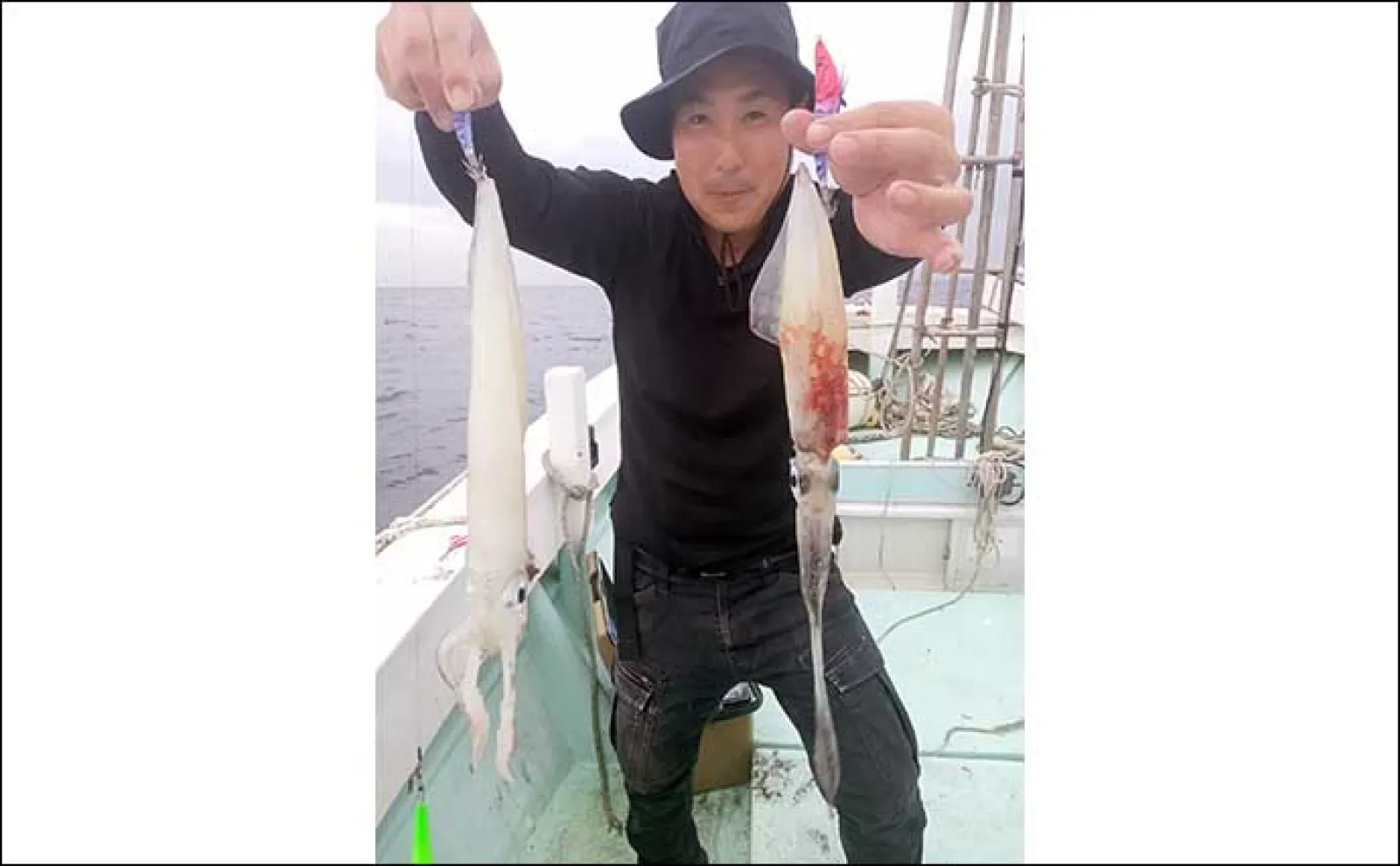 【夜焚きイカ釣果速報】今シーズン一番の入れ食い到来で100尾超え続々!(福岡)