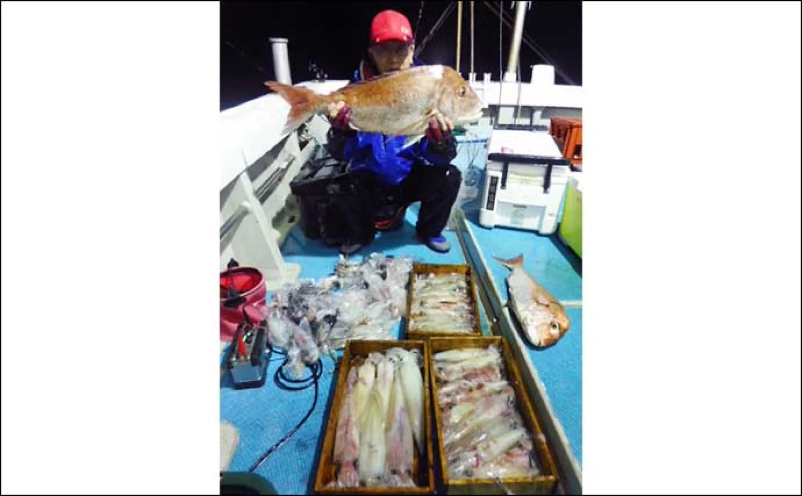 【夜焚きイカ釣果速報】今シーズン一番の入れ食い到来で100尾超え続々!(福岡)