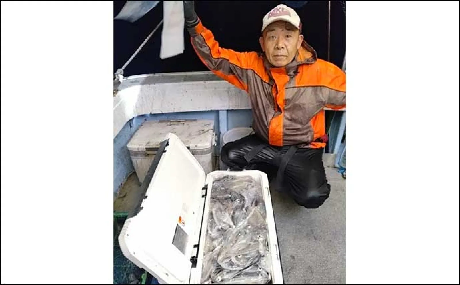 【夜焚きイカ釣果速報】今シーズン一番の入れ食い到来で100尾超え続々!(福岡)