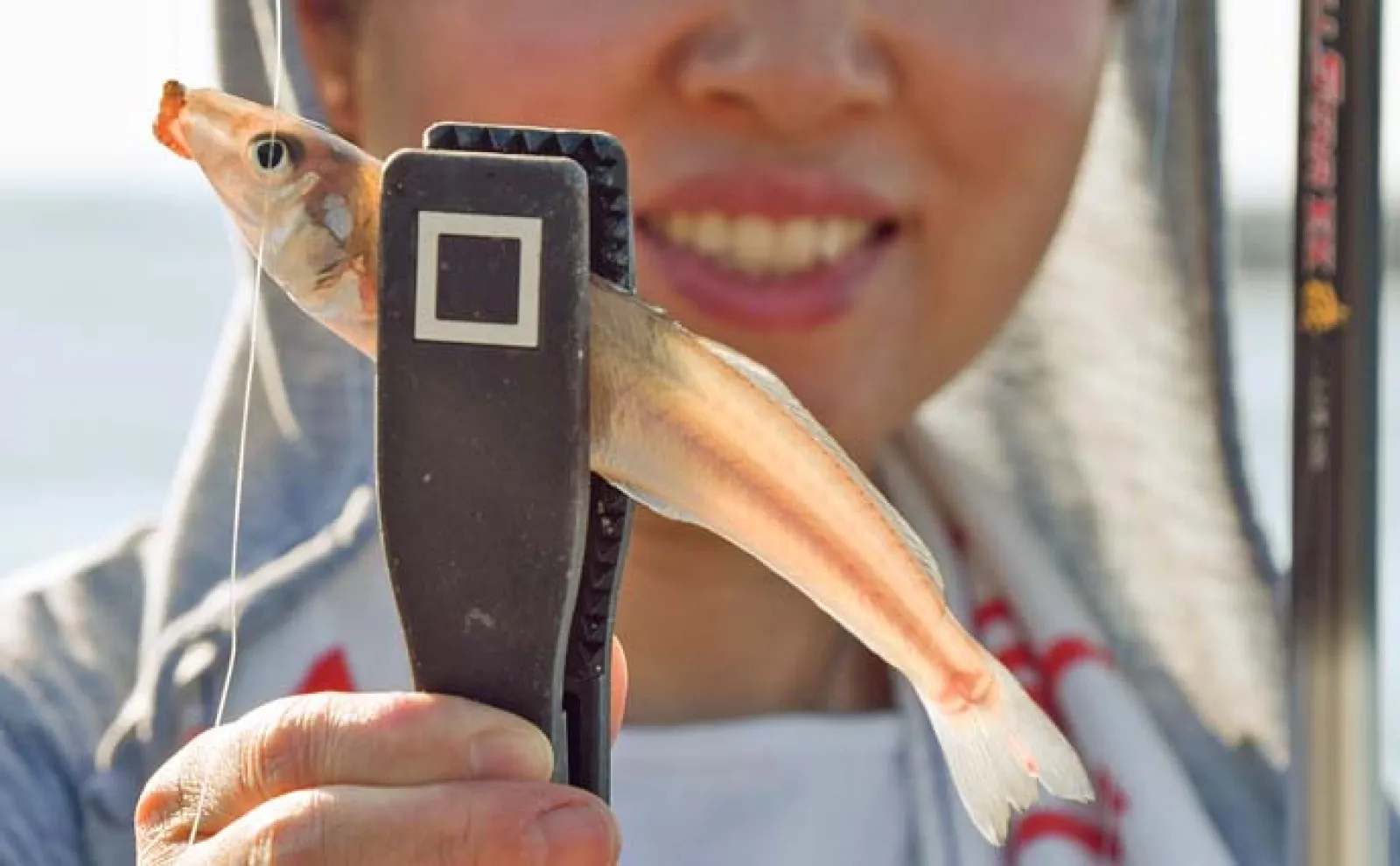 「碧南海釣り公園」でのサビキ&ちょい投げ釣りでサッパにキスなど多彩魚種手中【愛知】