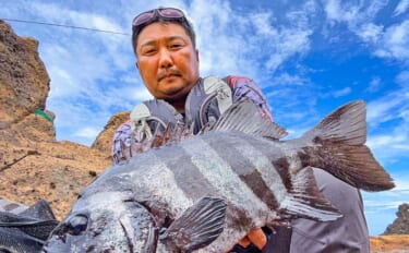 石鯛釣り具一式 夜明け前の沖磯釣りで60cmイシダイをキャッチ【山口・見島】潮の動きと