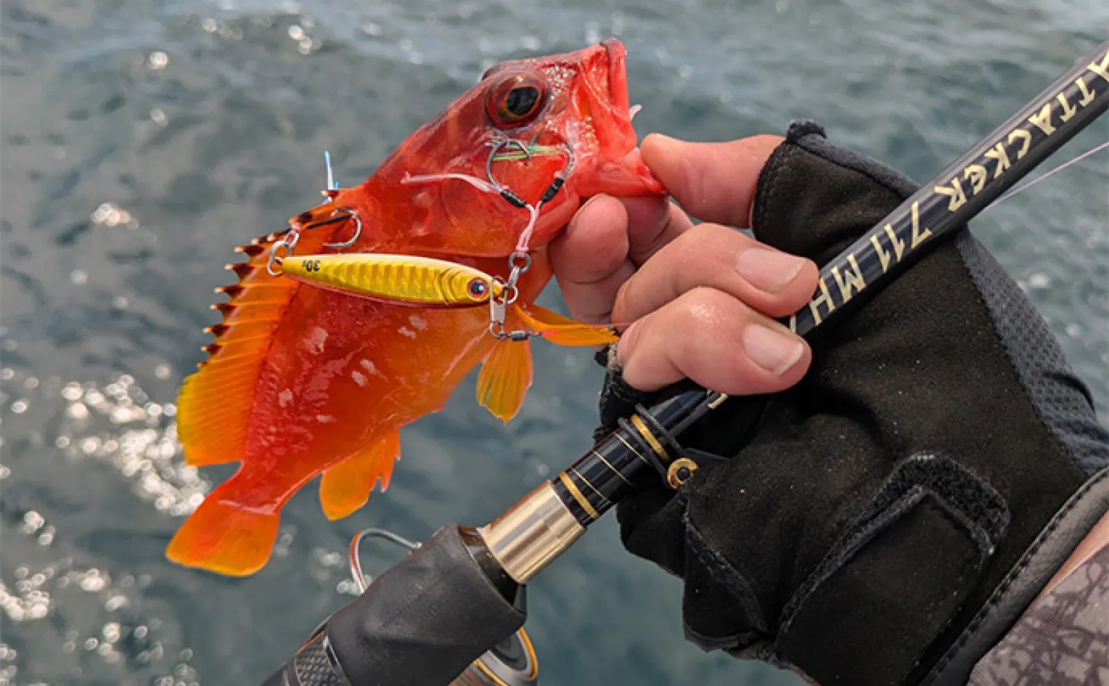 タイラバ＆SLJ釣行でマダイは不発もレンコダイとアカハタ数釣りを満喫